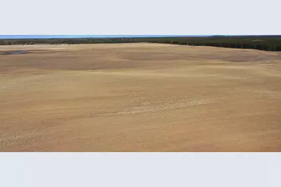 281.68 Acres Buttercup Ave &amp; 16th Avenue, Arkdale, WI 54613 - Photo 39