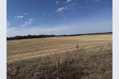 281.68 Acres Buttercup Ave &amp; 16th Avenue, Arkdale, WI 54613 - Photo 53
