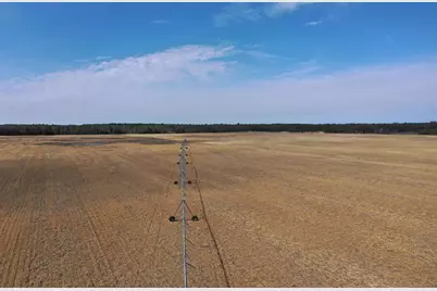 281.68 Acres Buttercup Ave &amp; 16th Avenue, Arkdale, WI 54613 - Photo 19