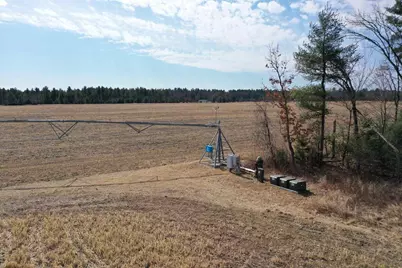 281.68 Acres Buttercup Ave &amp; 16th Avenue, Arkdale, WI 54613 - Photo 41