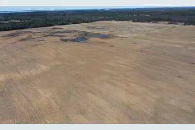 281.68 Acres Buttercup Ave &amp; 16th Avenue, Arkdale, WI 54613 - Photo 11