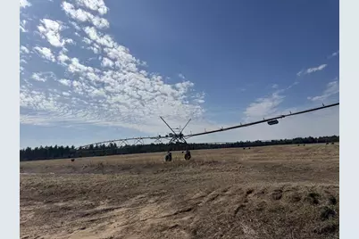281.68 Acres Buttercup Ave &amp; 16th Avenue, Arkdale, WI 54613 - Photo 57