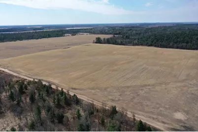 281.68 Acres Buttercup Ave &amp; 16th Avenue, Arkdale, WI 54613 - Photo 31