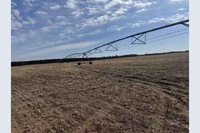 281.68 Acres Buttercup Ave &amp; 16th Avenue, Arkdale, WI 54613 - Photo 27