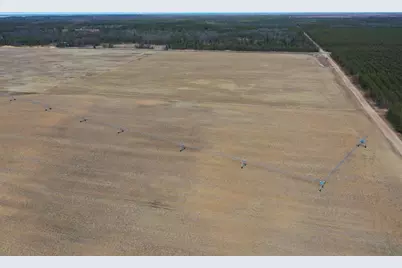 281.68 Acres Buttercup Ave &amp; 16th Avenue, Arkdale, WI 54613 - Photo 9