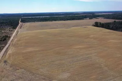 281.68 Acres Buttercup Ave &amp; 16th Avenue, Arkdale, WI 54613 - Photo 29