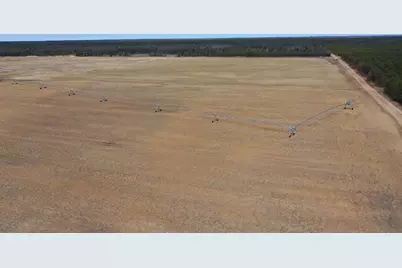 281.68 Acres Buttercup Ave &amp; 16th Avenue, Arkdale, WI 54613 - Photo 15