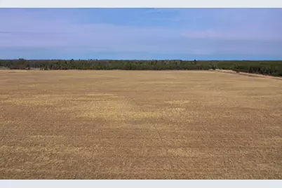 281.68 Acres Buttercup Ave &amp; 16th Avenue, Arkdale, WI 54613 - Photo 23