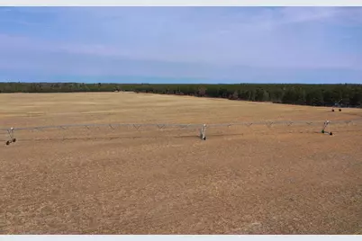 281.68 Acres Buttercup Ave &amp; 16th Avenue, Arkdale, WI 54613 - Photo 21