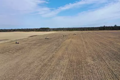 281.68 Acres Buttercup Ave &amp; 16th Avenue, Arkdale, WI 54613 - Photo 47
