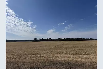 281.68 Acres Buttercup Ave &amp; 16th Avenue, Arkdale, WI 54613 - Photo 55