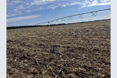 281.68 Acres Buttercup Ave &amp; 16th Avenue, Arkdale, WI 54613 - Photo 25