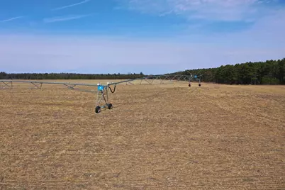 281.68 Acres Buttercup Ave &amp; 16th Avenue, Arkdale, WI 54613 - Photo 17