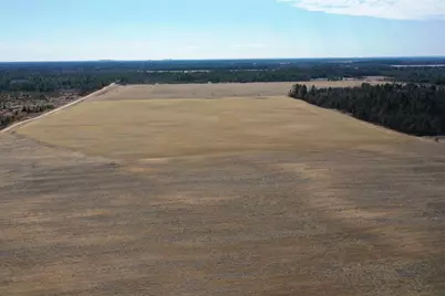 281.68 Acres Buttercup Ave &amp; 16th Avenue, Arkdale, WI 54613 - Photo 49