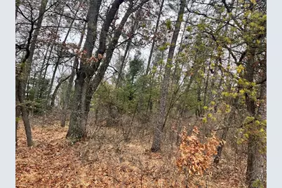 5.99 Ac State Road 13, Friendship, WI 53934 - Photo 5