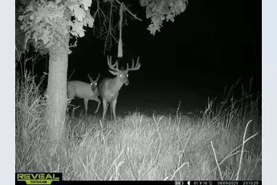 21881 Kale Road, Sparta, WI 54656 - Photo 71