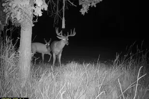 21881 Kale Rd, Sparta, WI 54656 - Photo 71