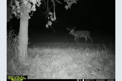 21881 Kale Road, Sparta, WI 54656 - Photo 59