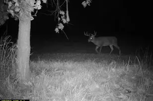 21881 Kale Rd, Sparta, WI 54656 - Photo 59