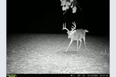 21881 Kale Road, Sparta, WI 54656 - Photo 69