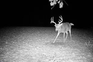 21881 Kale Rd, Sparta, WI 54656 - Photo 69