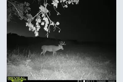 21881 Kale Road, Sparta, WI 54656 - Photo 77