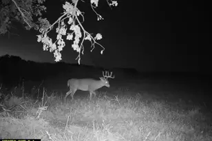 21881 Kale Rd, Sparta, WI 54656 - Photo 77