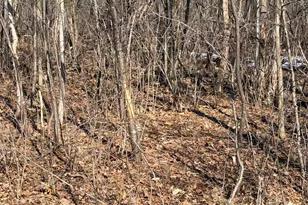 21881 Kale Rd, Sparta, WI 54656 - Photo 27