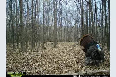 21881 Kale Road, Sparta, WI 54656 - Photo 73