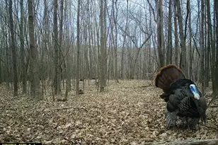 21881 Kale Rd, Sparta, WI 54656 - Photo 73