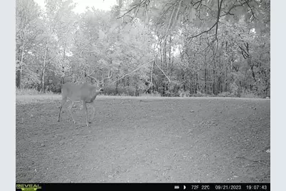 21881 Kale Road, Sparta, WI 54656 - Photo 65