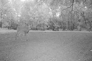 21881 Kale Rd, Sparta, WI 54656 - Photo 65