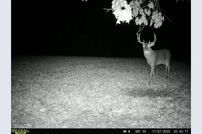 21881 Kale Road, Sparta, WI 54656 - Photo 67