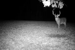 21881 Kale Rd, Sparta, WI 54656 - Photo 67