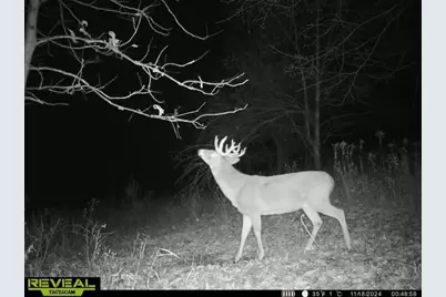 21881 Kale Road, Sparta, WI 54656 - Photo 75