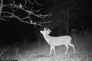 21881 Kale Rd, Sparta, WI 54656 - Photo 75