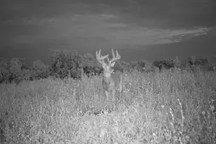 21881 Kale Rd, Sparta, WI 54656 - Photo 81