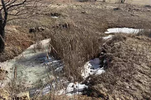 21881 Kale Rd, Sparta, WI 54656 - Photo 29