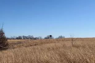 21881 Kale Rd, Sparta, WI 54656 - Photo 41