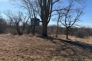 21881 Kale Rd, Sparta, WI 54656 - Photo 35