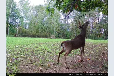 21881 Kale Road, Sparta, WI 54656 - Photo 61