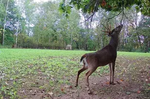 21881 Kale Rd, Sparta, WI 54656 - Photo 61