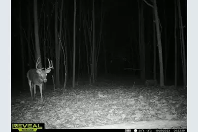 21881 Kale Road, Sparta, WI 54656 - Photo 63