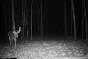 21881 Kale Rd, Sparta, WI 54656 - Photo 63