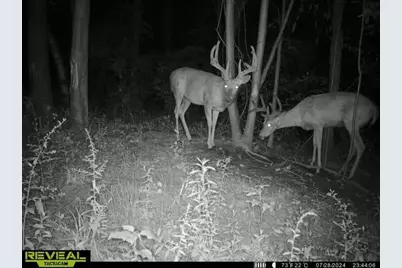 21881 Kale Road, Sparta, WI 54656 - Photo 79