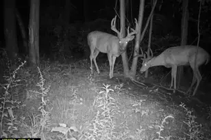 21881 Kale Rd, Sparta, WI 54656 - Photo 79