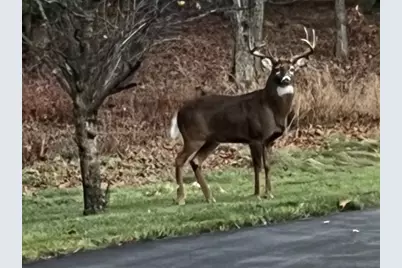 S2051 Park Lane Circle, Reedsburg, WI 53959 - Photo 51