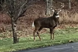 S2051 Park Ln Circle, Reedsburg, WI 53959 - Photo 51