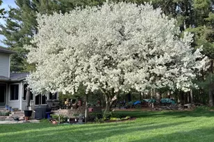 E10471 Pine Cir, Prairie Du Sac, WI 53578 - Photo 47