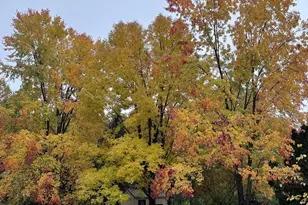 E10471 Pine Cir, Prairie Du Sac, WI 53578 - Photo 45